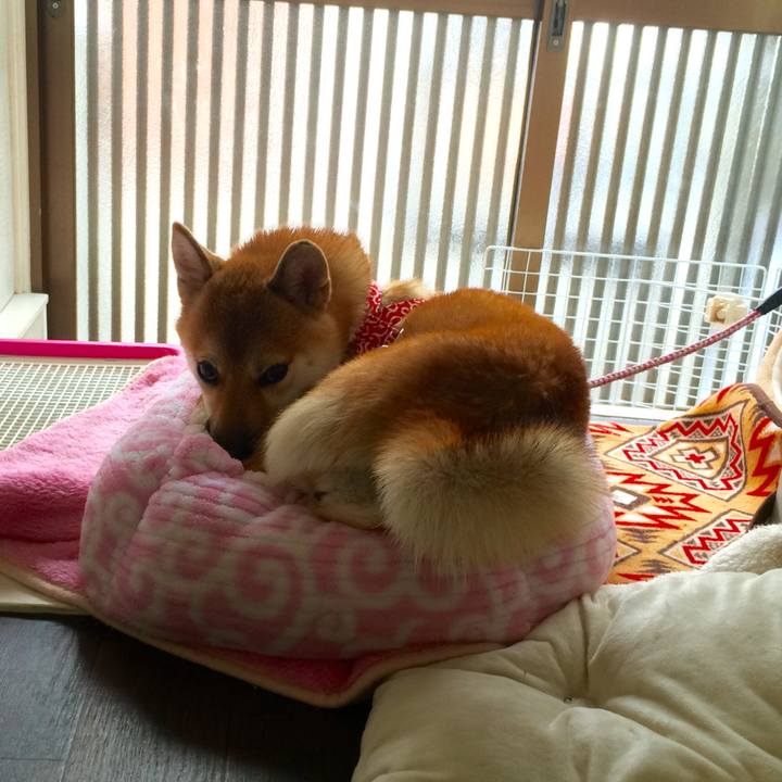 4dbc26b6 5cdb 4630 8ede b7c22dd57b65