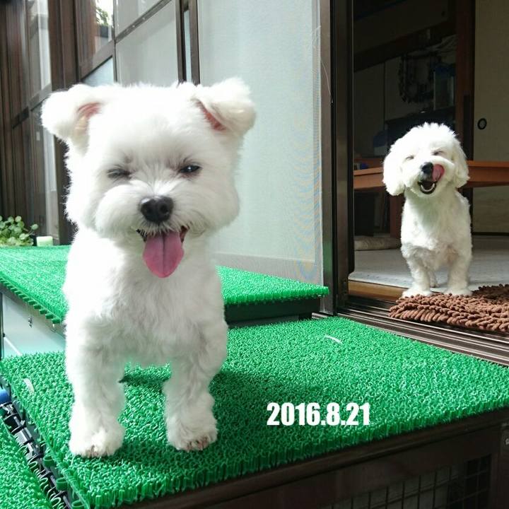 4dbd9fc7 0984 4166 9dc1 3b6a2d961ea8