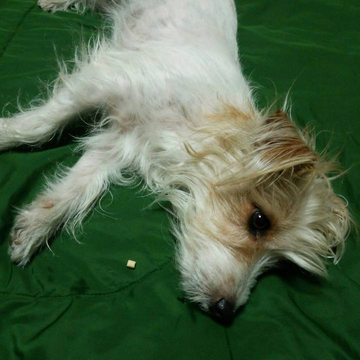 4dbdef53 1a5e 4847 913c 19b03fd36955