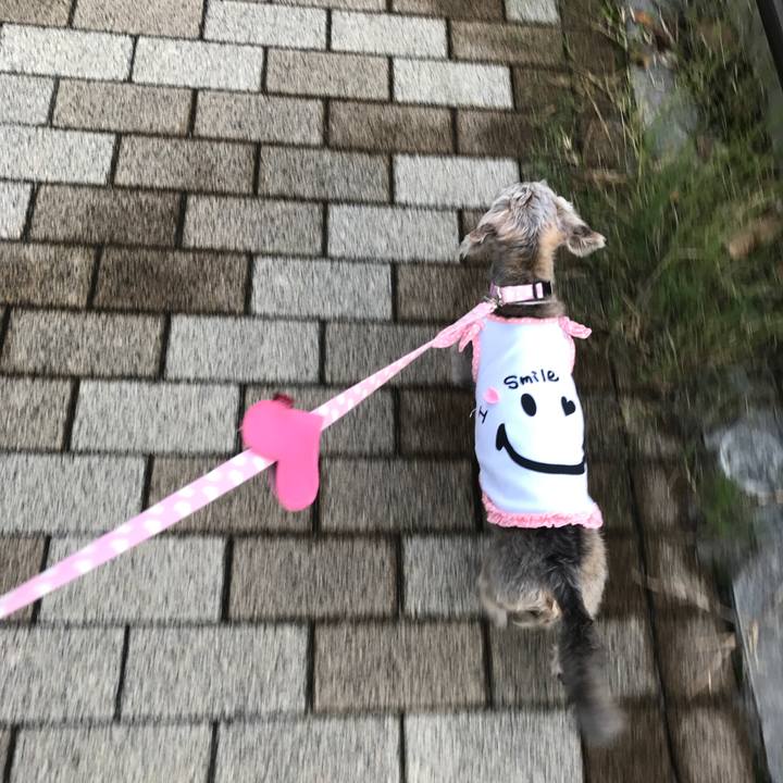 4dbe2cbc f00b 46bb 8b2d 3ee238484f66