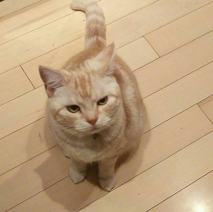 4dbf3fa2 d2fa 4e41 8f03 683a59603a6c