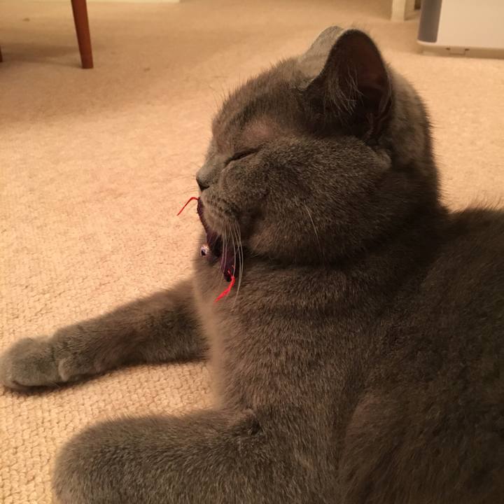 4dbf5a93 ce73 4903 8161 401881d99149