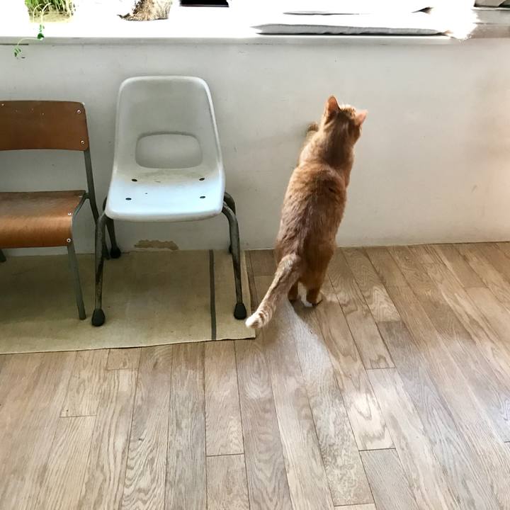 4dbf6b7e 1641 45cb be88 caaae7677d2f