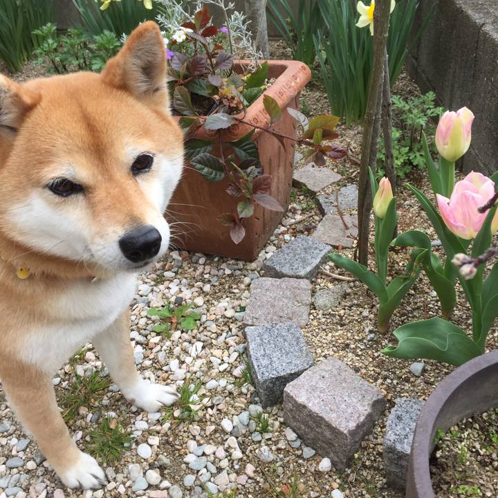 4dbf8a7d cd32 4319 bfc7 95f62c9c9163