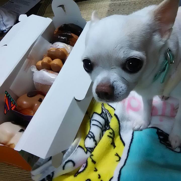 4dc099bf 9e7b 4a33 acaa b2d383ed5a6c