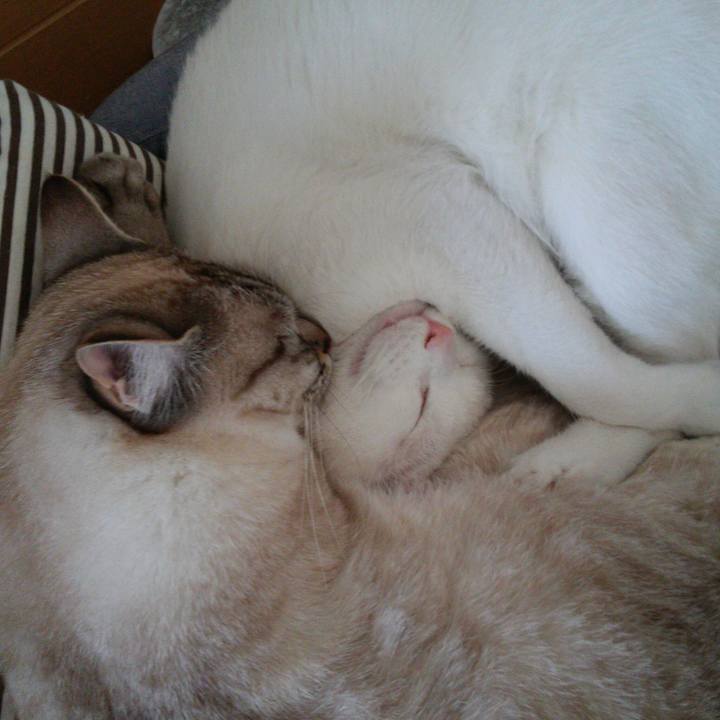 4dc10f82 59f1 4f62 b178 1e9c6b768b5c