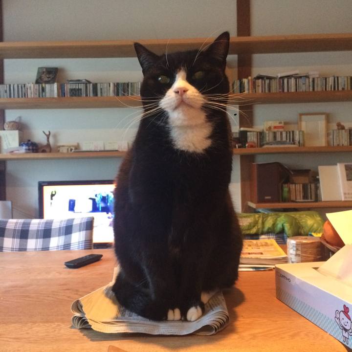 4dc10fb7 b2a4 4aa6 983e b150c6efefda