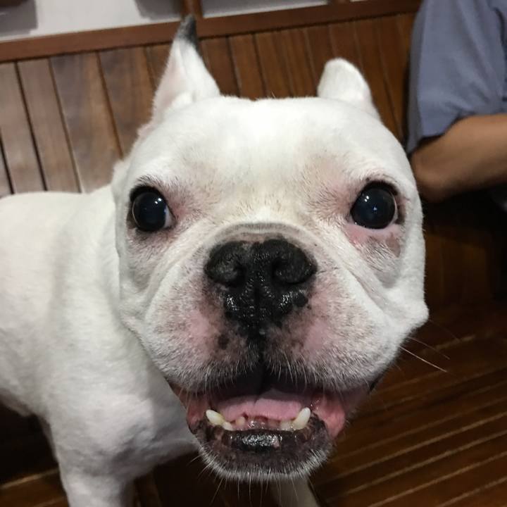 4dc1ad47 b3ba 42bd b327 815df670ced1