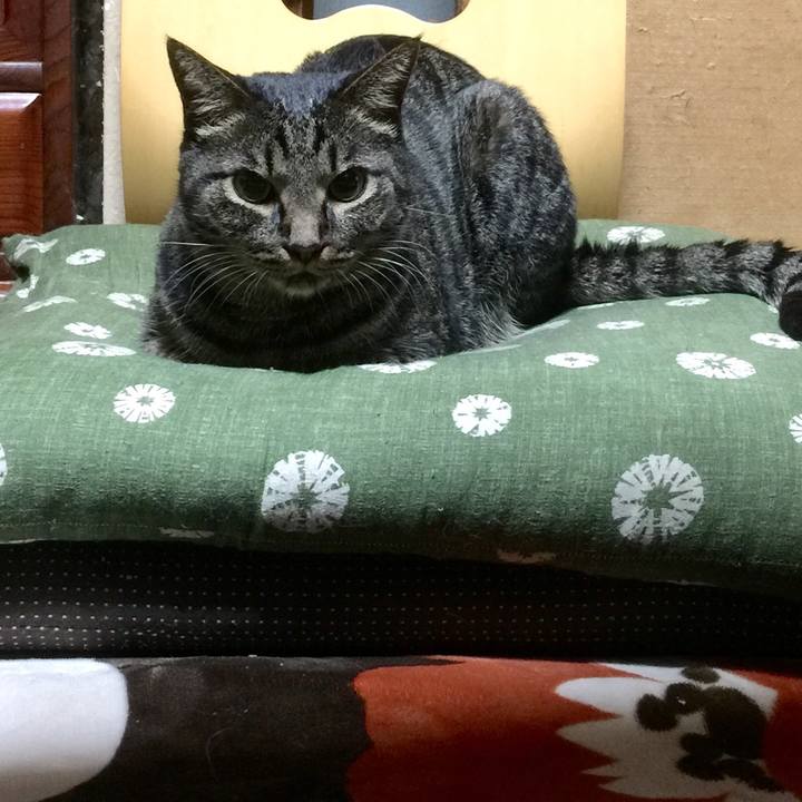 4dc1e441 9db6 4182 b75c ac583b963d48