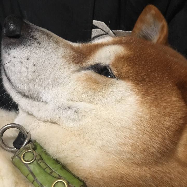 4dc220a5 8a32 4664 b46d 14817a1b3929