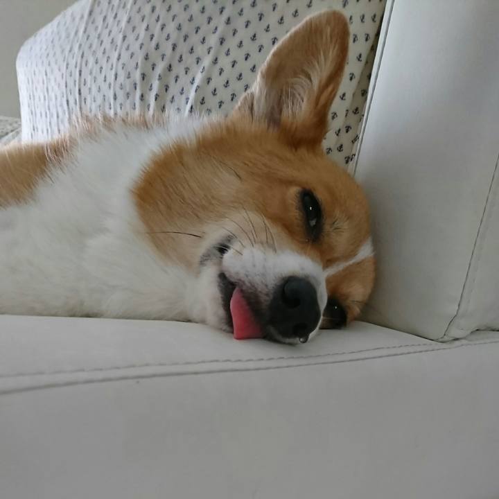 4dc220f7 3907 42f3 91ba 066d166b6f8f