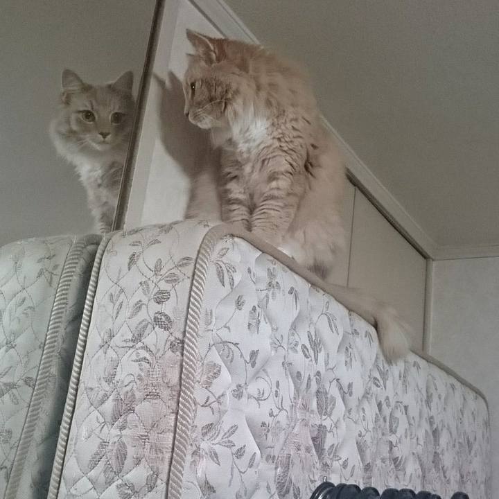 4dc2339f 6aa9 4ae1 8312 f9284d6b18a9