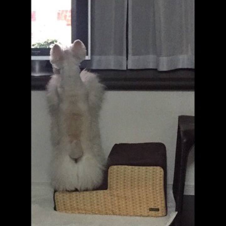 4dc27c24 01e1 4977 8ab6 283f11569722