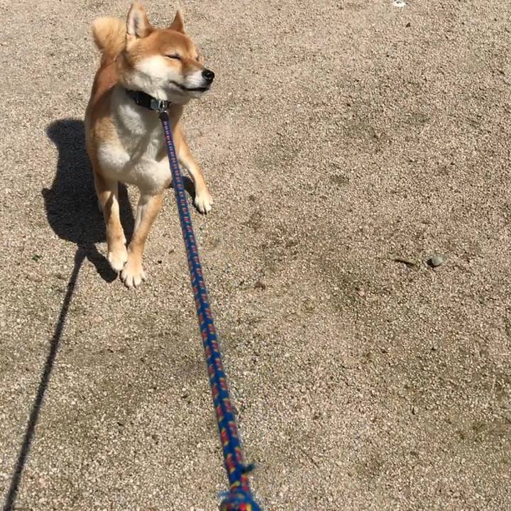 4dc2f199 d608 4342 b8de 1106ee04024f