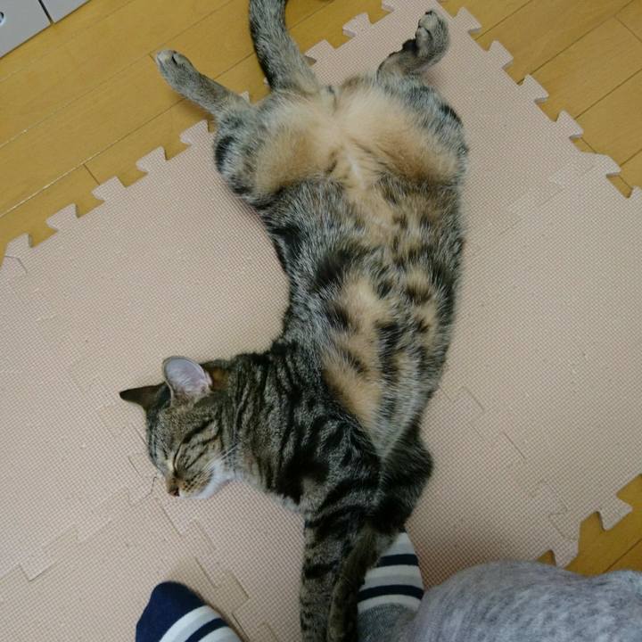 4dc34f8e 5a2f 4a9c 9694 f799c9c73aff