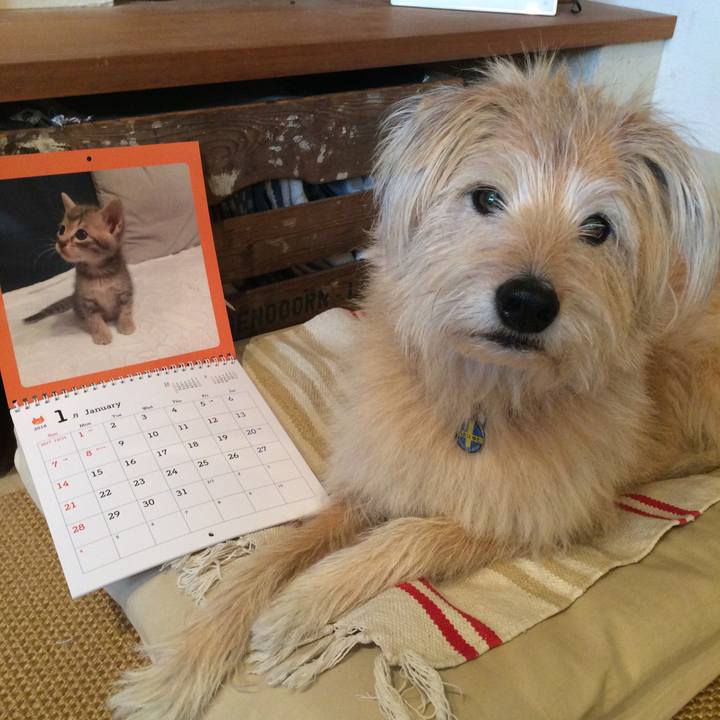 4dc43408 278f 4ff5 9465 0eda50b6c7dd