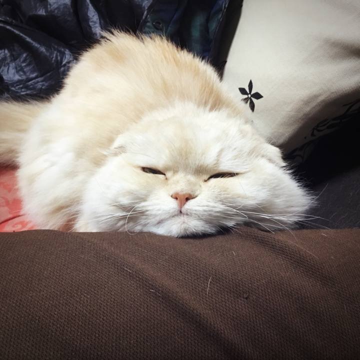 4dc465a6 ad45 4247 85b3 1d69dbc9548f