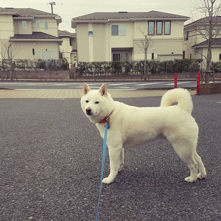 4dc487ff ea6a 4516 9065 465edcbefa89