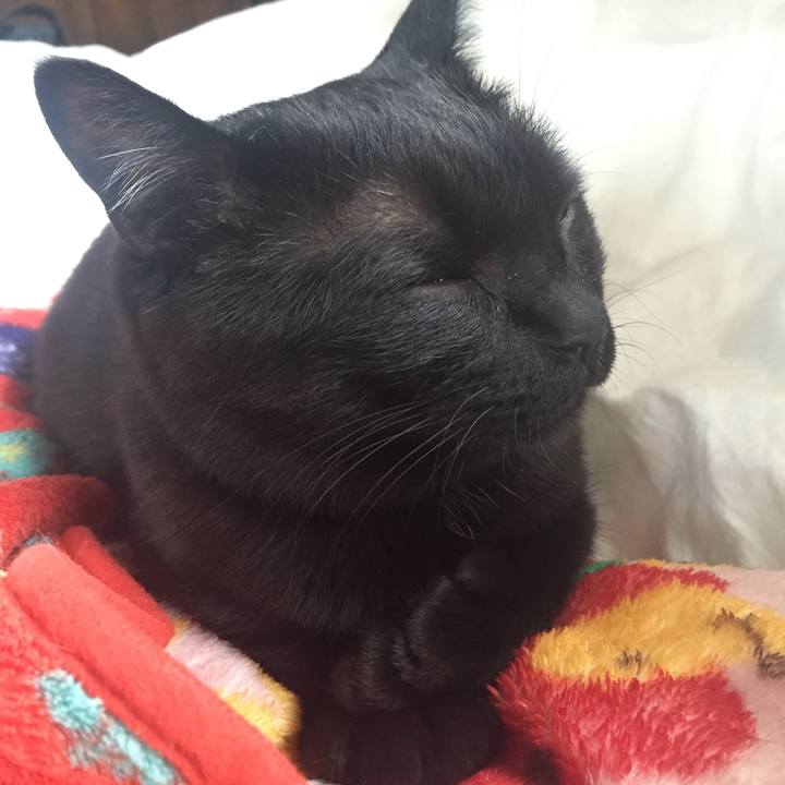 4dc490c1 3978 4869 8f1a d8b15631d5cb