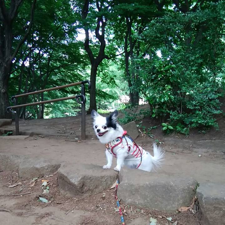 4dc49b59 0f99 4b69 a166 ca9e83623d44