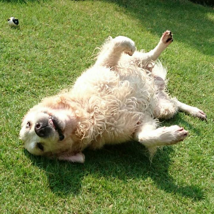 4dc4cb90 67e2 48b7 b83d ba87e5badb2b