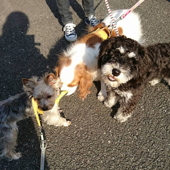 4dc4cef4 8575 4e2b b09f d2e73dbc6918