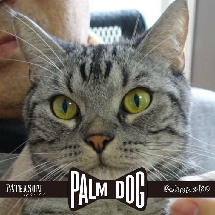 4dc5a40d 9028 44e9 9b5c dab57bed8fae