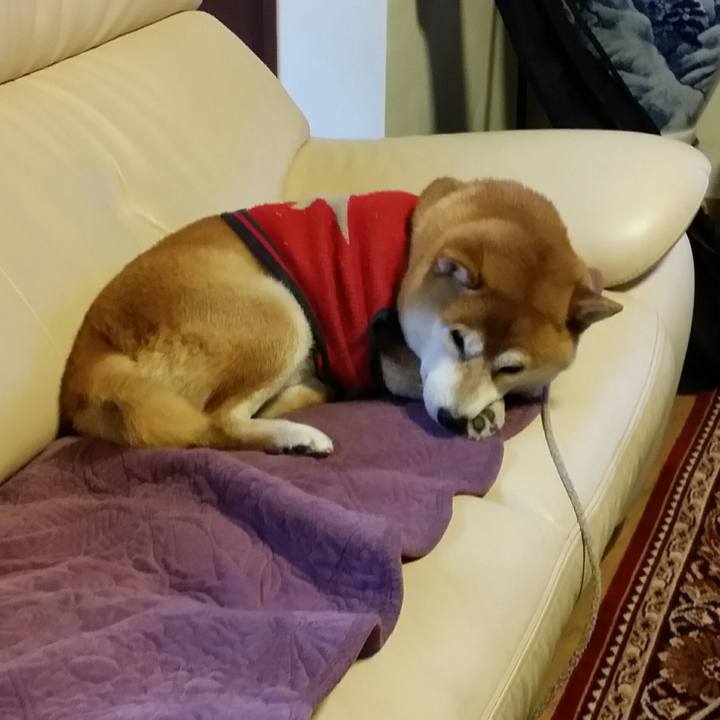 4dc60377 3251 4f7c a039 bfc7b546a0ed