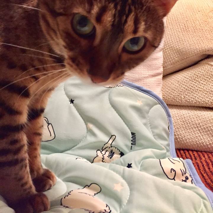 4dc70890 3d23 4d5d aa7d c4928f8146b6