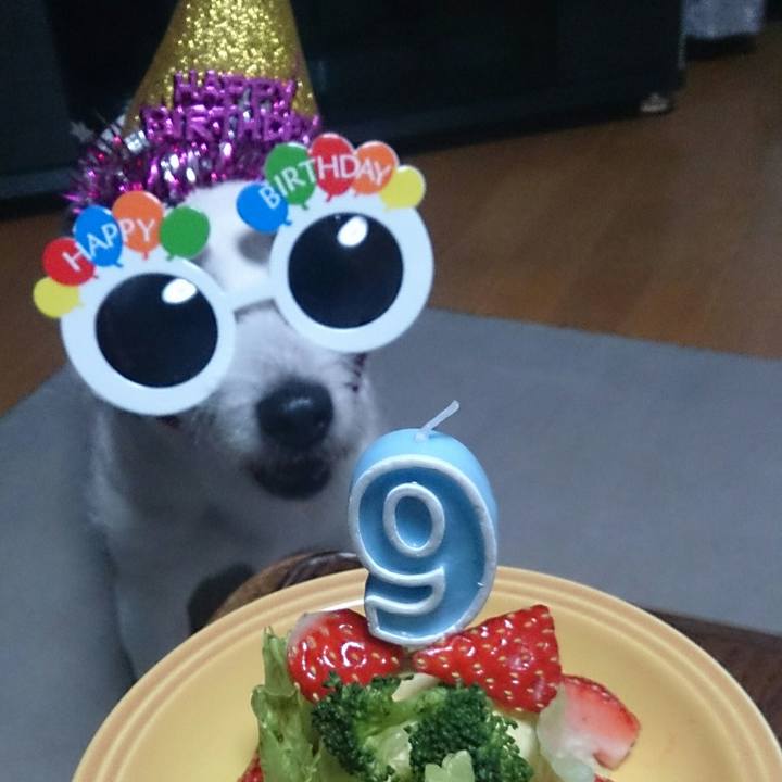 4dc71e09 bee7 434a 885b ce1f0d0a1376