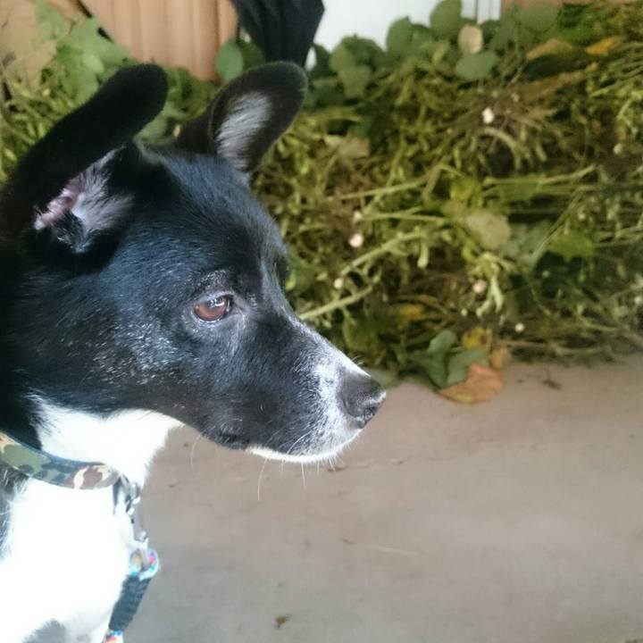 4dc783d8 6918 4f70 977c 0a3e69f4d5b5