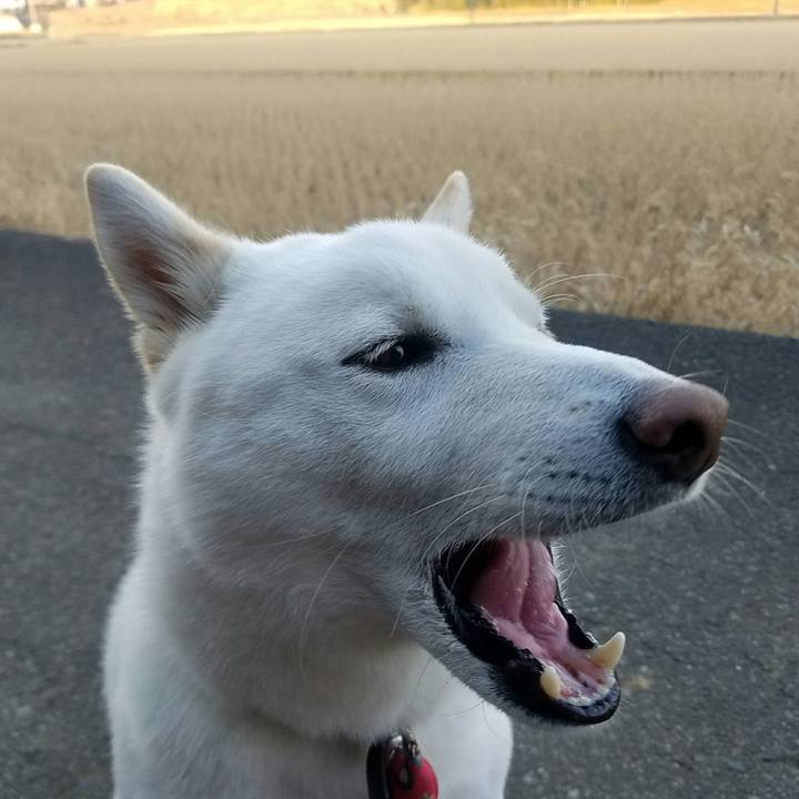 4dc7d6f3 353b 4995 a29a d63b608ae615