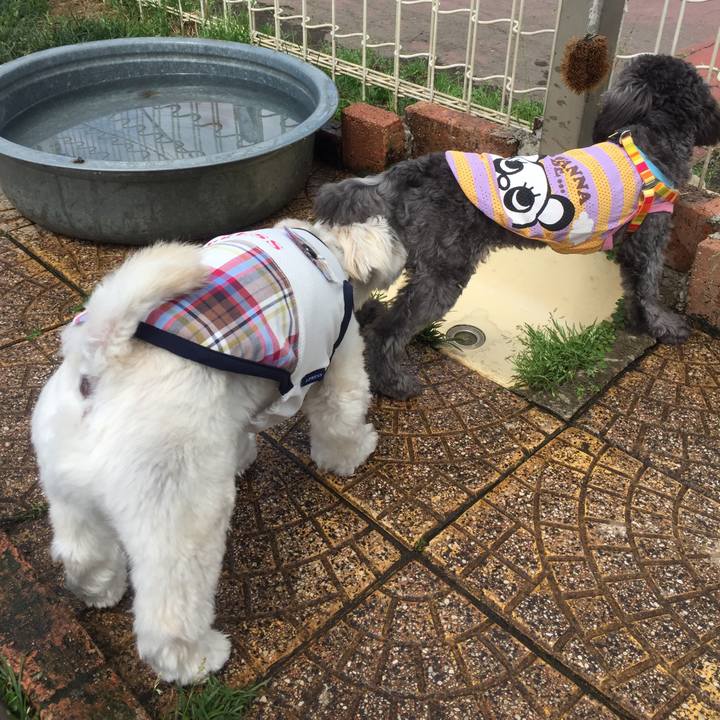 4dc84360 fd6a 41a6 b803 6898b4b2518a