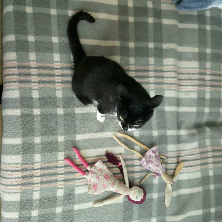 4dc97478 a4a4 4c90 ba67 9c1a5bc00500