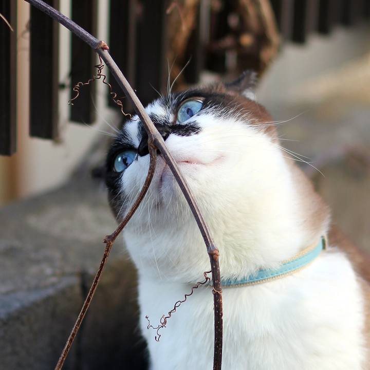 4dc974cd dea0 49fc 9a53 5e34ee68b863