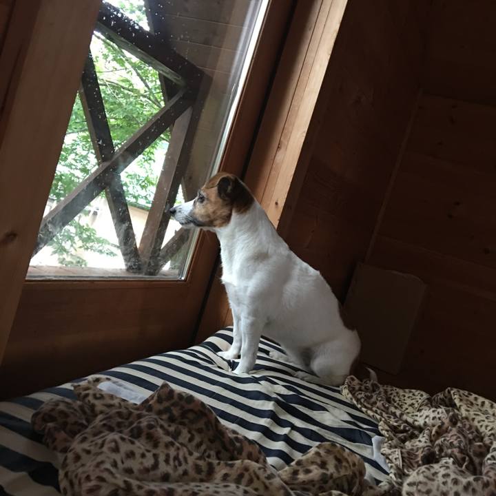 4dc97fa7 9c19 47ca ab8a b0fabcf2c2c6