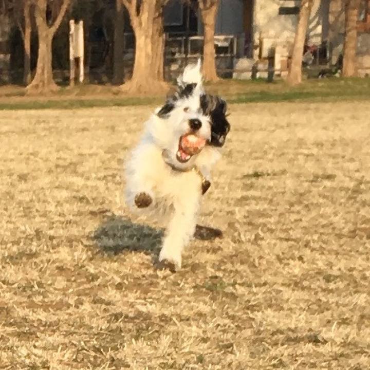 4dcb03bd 1cf2 41dc 801e fdea295232ae