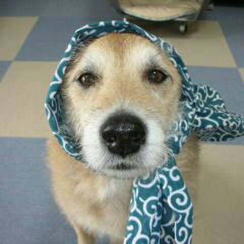 4dcb0d6f b3ab 4f19 b16f 8d86796d5295