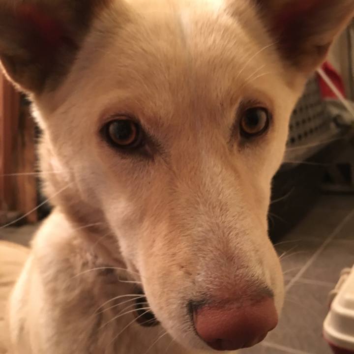 4dcb3e65 d3ae 44c5 982a 88fdee019e3f