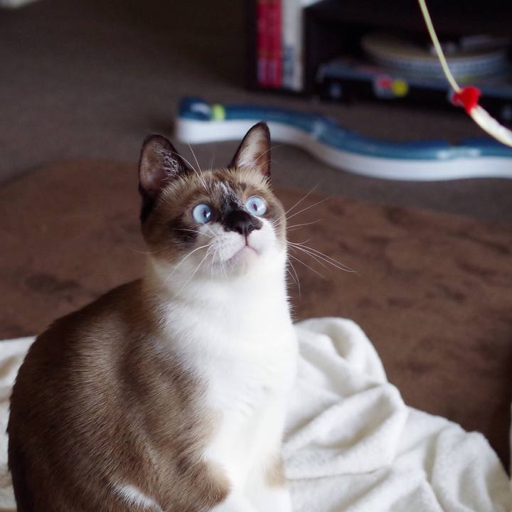 4dcb66b9 c221 4437 94b5 c9be4361ec00