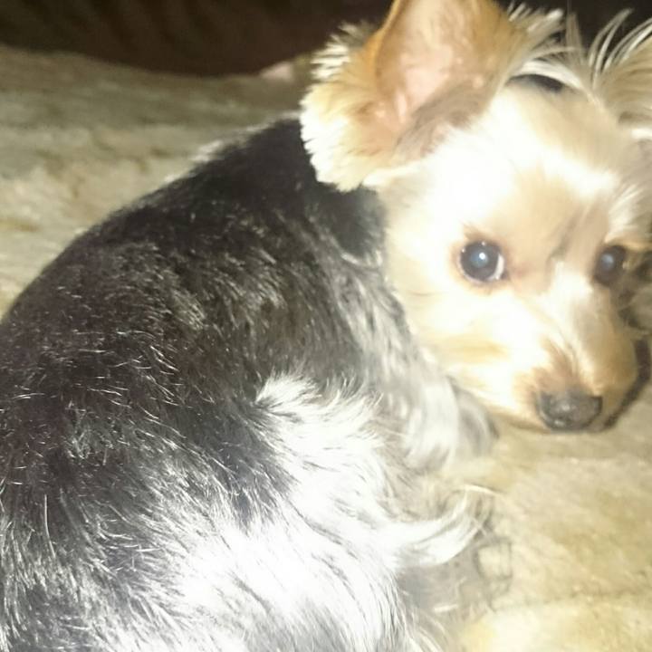 4dcb85f2 a92a 4256 bf61 7557521d6184