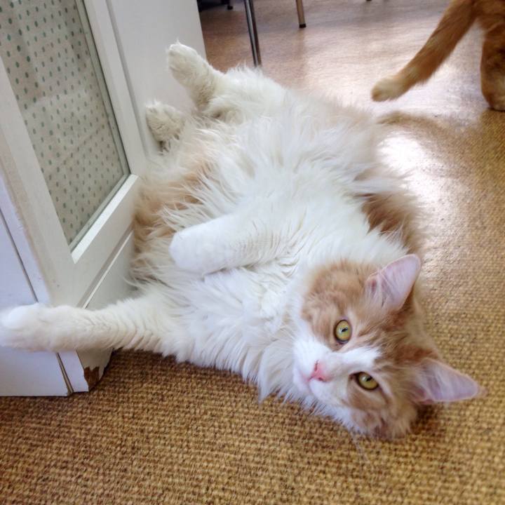 4dcb9e92 9a94 4bd8 a8c4 c78674f8b676