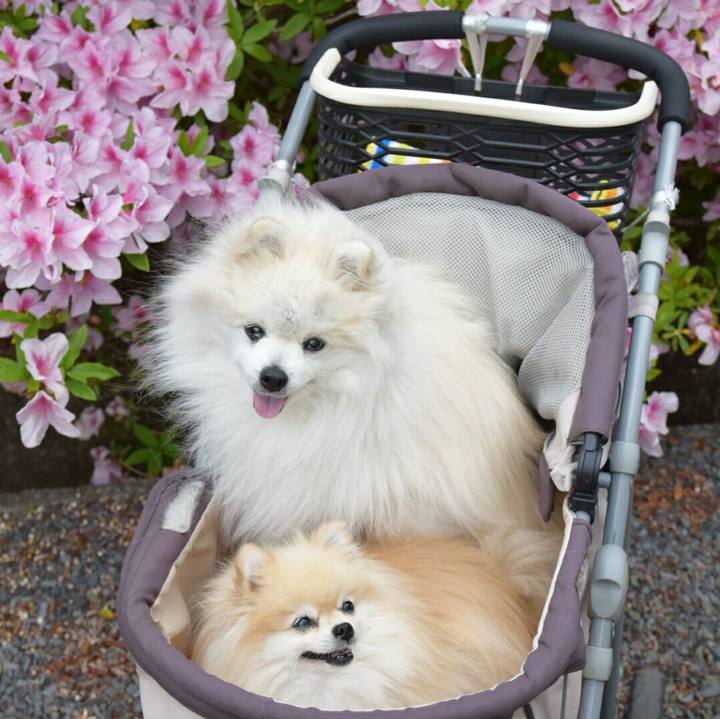 4dcbeb1f 0fb1 4560 a6ce 1792ecb9b3ec