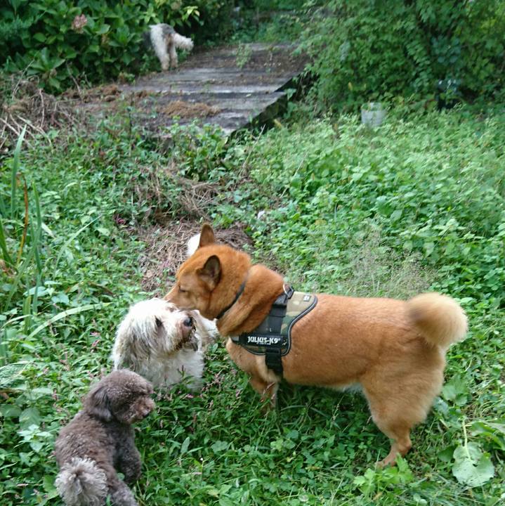 4dccbbe5 2c48 42fd 85a0 d68f83dfb8c3