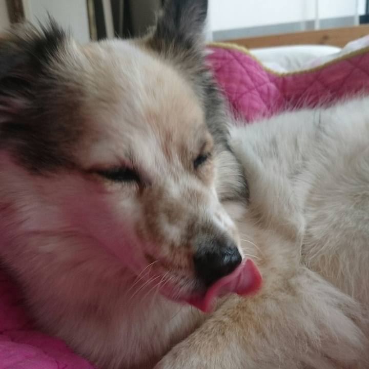 4dcd26d1 f81d 4aba a10b fcc55e0a768f