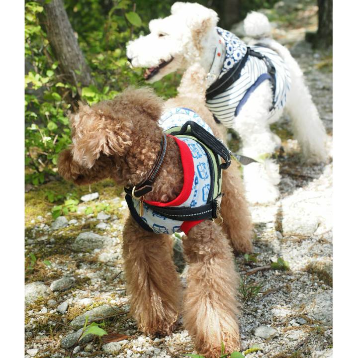 4dce1b8f 0c4e 4d81 9169 61ea3a86e1bf