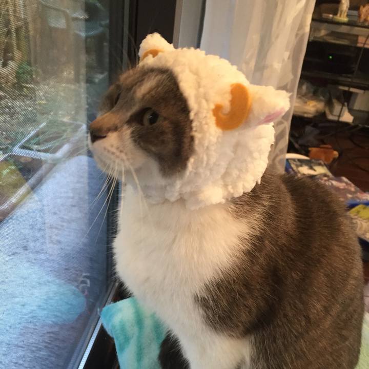 4dce70fb 3329 4792 82ca db514127c176