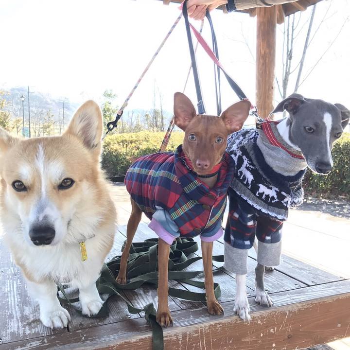 4dce8a23 3353 419d 9aa8 e1dfa2c17e19