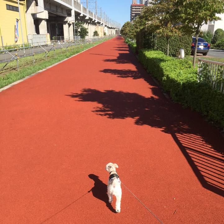 4dceb8b5 5ce0 4f2c b84f 70fb4ae0e304