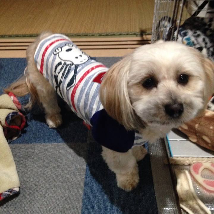 4dd0368a 60fa 4d35 8e83 49e41a4bc4a6